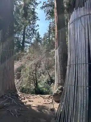 妙義神社(群馬県)