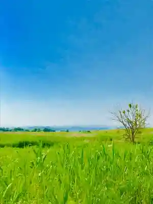 野木神社(栃木県)