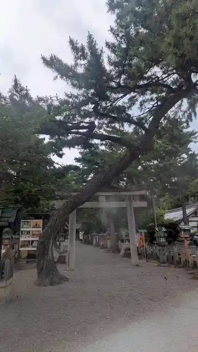 建部大社(滋賀県)