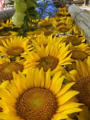橘神社の手水舎