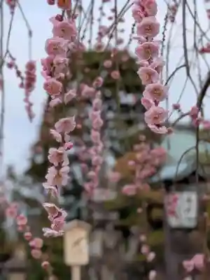 常性寺(東京都)