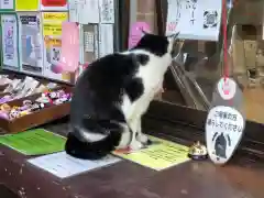 王子神社(徳島県)