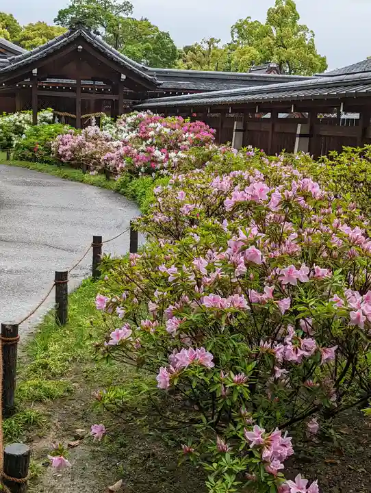城南宮(京都府)