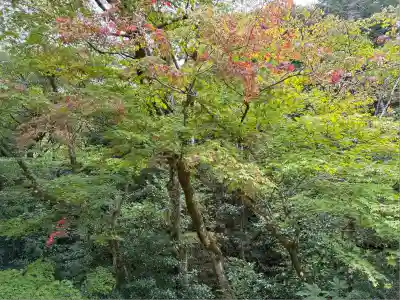 詩仙堂(丈山寺)(京都府)