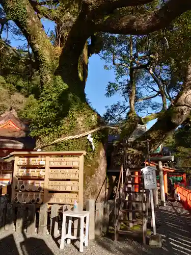 熊野那智大社の自然