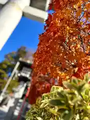 冨士山稲荷神社(長野県)