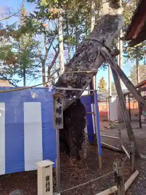 生島足島神社(長野県)