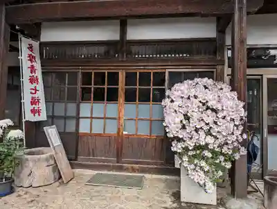 地蔵院(東京都)