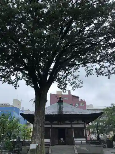 總持寺のその他建物