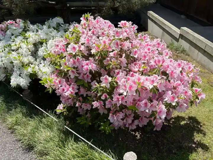 城南宮(京都府)