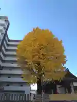 春日神社(熊本県)