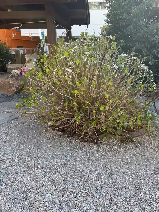 三輪神社(愛知県)