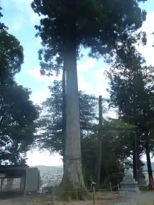 竹生神社(愛知県)