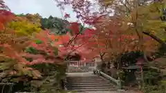 鍬山神社(京都府)