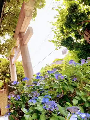 麻布氷川神社の鳥居