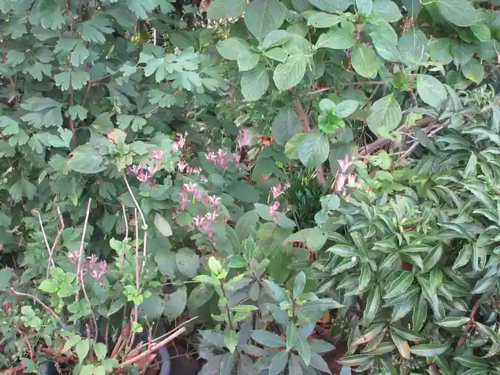 城山富士浅間神社(静岡県)