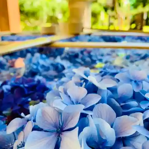 土津神社｜こどもと出世の神さまの手水舎