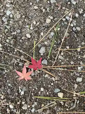 鶴林寺(兵庫県)