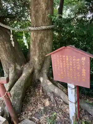 大鷲神社(千葉県)