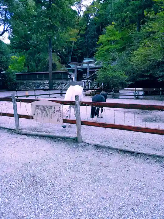 丹生川上神社(下社)(奈良県)