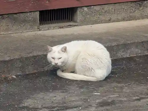 神明社(神奈川県)