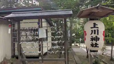 上川神社のおみくじ