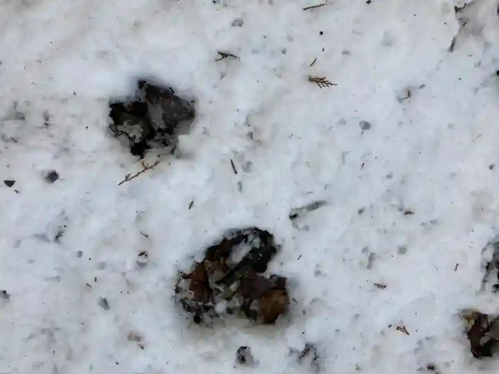 西林寺(兵庫県)