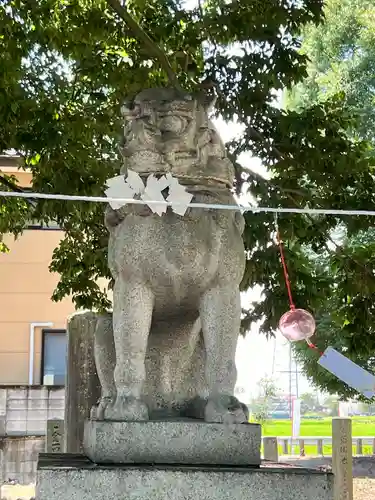 島田八坂神社の狛犬