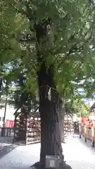 草加神社(埼玉県)