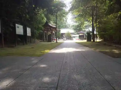 富岡八幡宮の自然