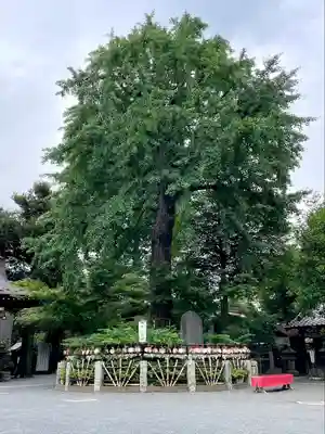 七社神社(東京都)