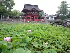 伊賀八幡宮の庭園