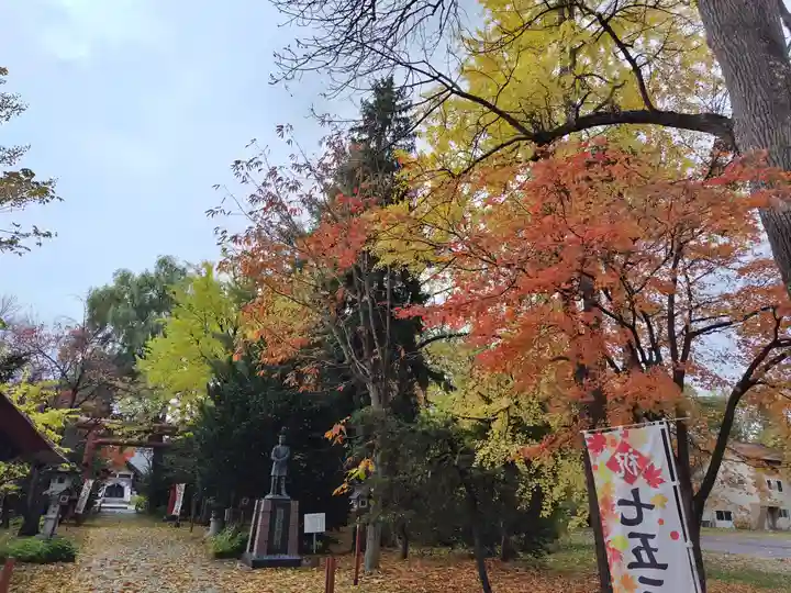 永山神社の七五三参