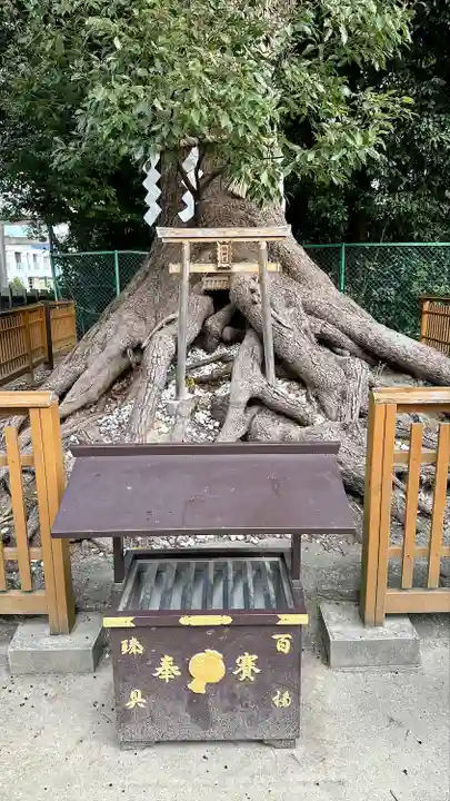 和泉國一之宮 大鳥大社(大阪府)