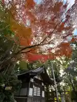 石清水八幡宮(京都府)