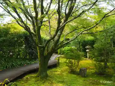 将軍塚青龍殿（青蓮院門跡）(京都府)