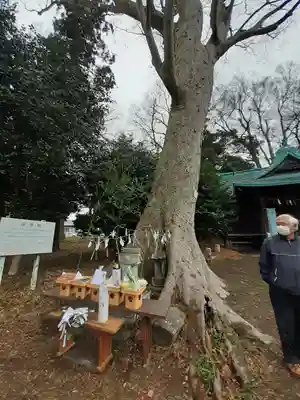 伏木香取神社(茨城県)