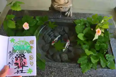 滑川神社 - 仕事と子どもの守り神の手水舎