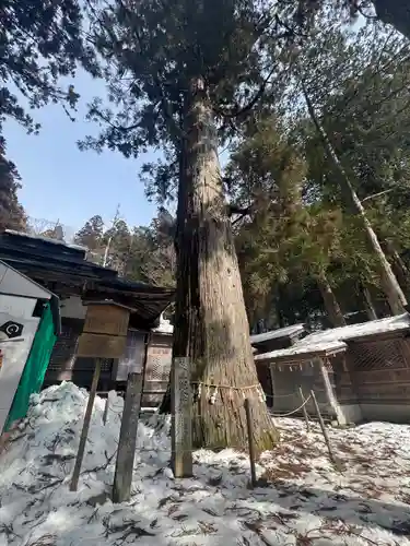 日枝神社(岐阜県)