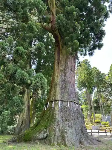 清澄寺(千葉県)