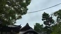 安井金比羅宮の{uncategorized: "未分類", other: "その他", undefined: "問題あり", building: "その他建物", grave: "お墓", sacred_gate: "鳥居", guardian: "狛犬", statue: "像", buddha: "仏像", history: "歴史", nature: "自然", garden: "庭園", animal: "動物", pagoda: "塔", temizu: "手水舎", mountain_gate: "山門・神門", sanctuary: "本殿・本堂", subordinate: "末社・摂社", art: "芸術", scenery: "景色", jizo: "地蔵", ema: "絵馬", goshuin: "御朱印", omikuji: "おみくじ", items: "授与品その他", amulet: "お守り", goshuincho: "御朱印帳", eats: "食事", festival: "お祭り", votive_dance: "神楽", shichigosan: "七五三参", wedding: "結婚式", experience: "体験その他", initially: "初詣", around: "周辺", anti_infection: "感染症対策"}