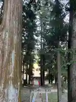 大宮温泉神社(栃木県)