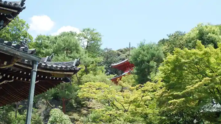 今熊野観音寺(京都府)