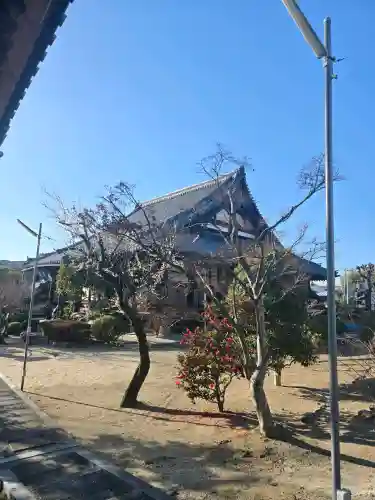 浄誓寺の{uncategorized: "未分類", other: "その他", undefined: "問題あり", building: "その他建物", grave: "お墓", sacred_gate: "鳥居", guardian: "狛犬", statue: "像", buddha: "仏像", history: "歴史", nature: "自然", garden: "庭園", animal: "動物", pagoda: "塔", temizu: "手水舎", mountain_gate: "山門・神門", sanctuary: "本殿・本堂", subordinate: "末社・摂社", art: "芸術", scenery: "景色", jizo: "地蔵", ema: "絵馬", goshuin: "御朱印", omikuji: "おみくじ", items: "授与品その他", amulet: "お守り", goshuincho: "御朱印帳", eats: "食事", festival: "お祭り", votive_dance: "神楽", shichigosan: "七五三参", wedding: "結婚式", experience: "体験その他", initially: "初詣", around: "周辺", anti_infection: "感染症対策"}