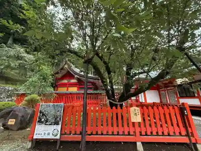金櫻神社(山梨県)