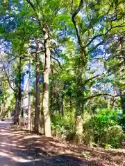 蛟蝄神社奥の宮の自然