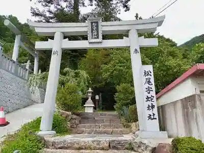 松尾宇蛇神社・白蛇神社の鳥居