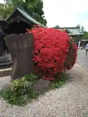 上野東照宮の自然