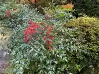 龍蔵寺(兵庫県)