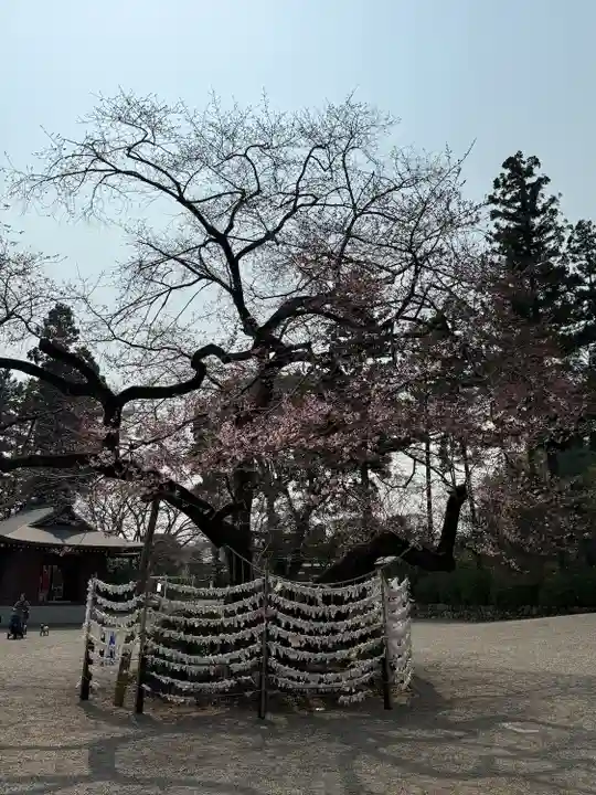 高麗神社(埼玉県)